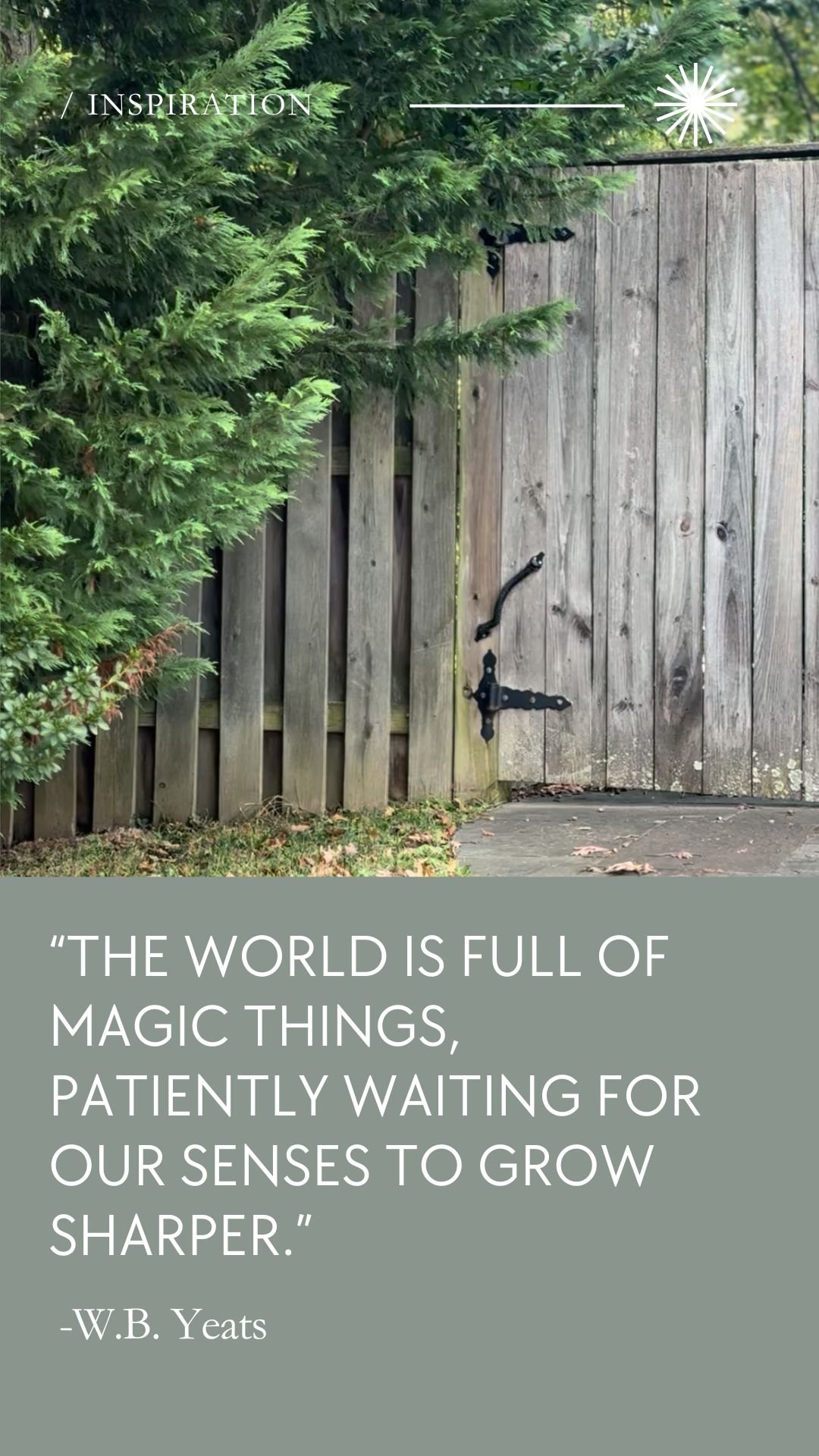 THE WORLD IS FULL OF MAGIC THINGS