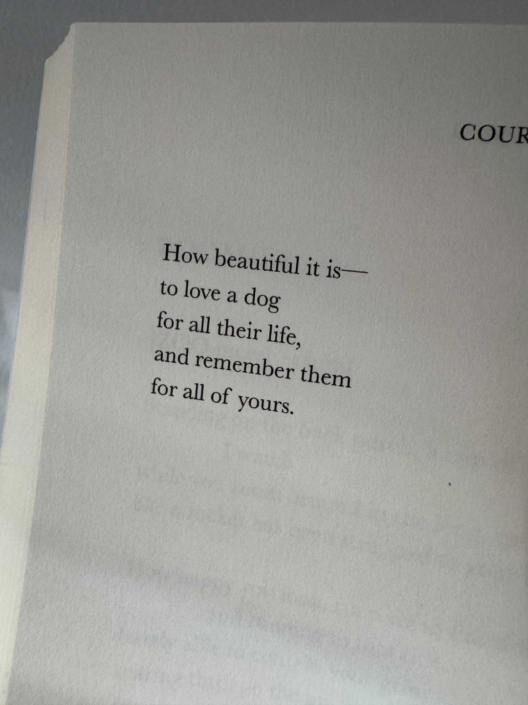 loving a dog poem
